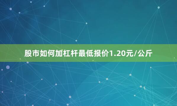 股市如何加杠杆最低报价1.20元/公斤