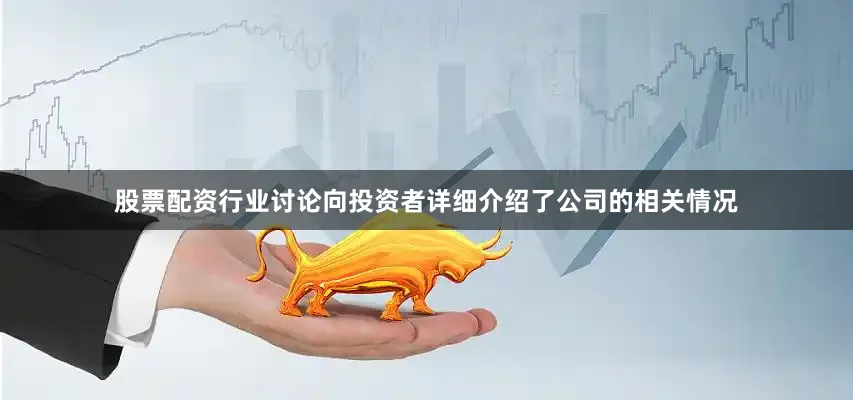 股票配资行业讨论向投资者详细介绍了公司的相关情况