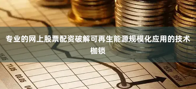 专业的网上股票配资破解可再生能源规模化应用的技术枷锁
