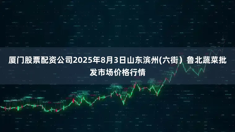 厦门股票配资公司2025年8月3日山东滨州(六街）鲁北蔬菜批发市场价格行情