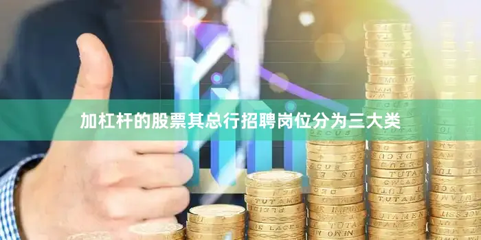 加杠杆的股票其总行招聘岗位分为三大类