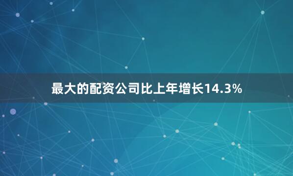 最大的配资公司比上年增长14.3%